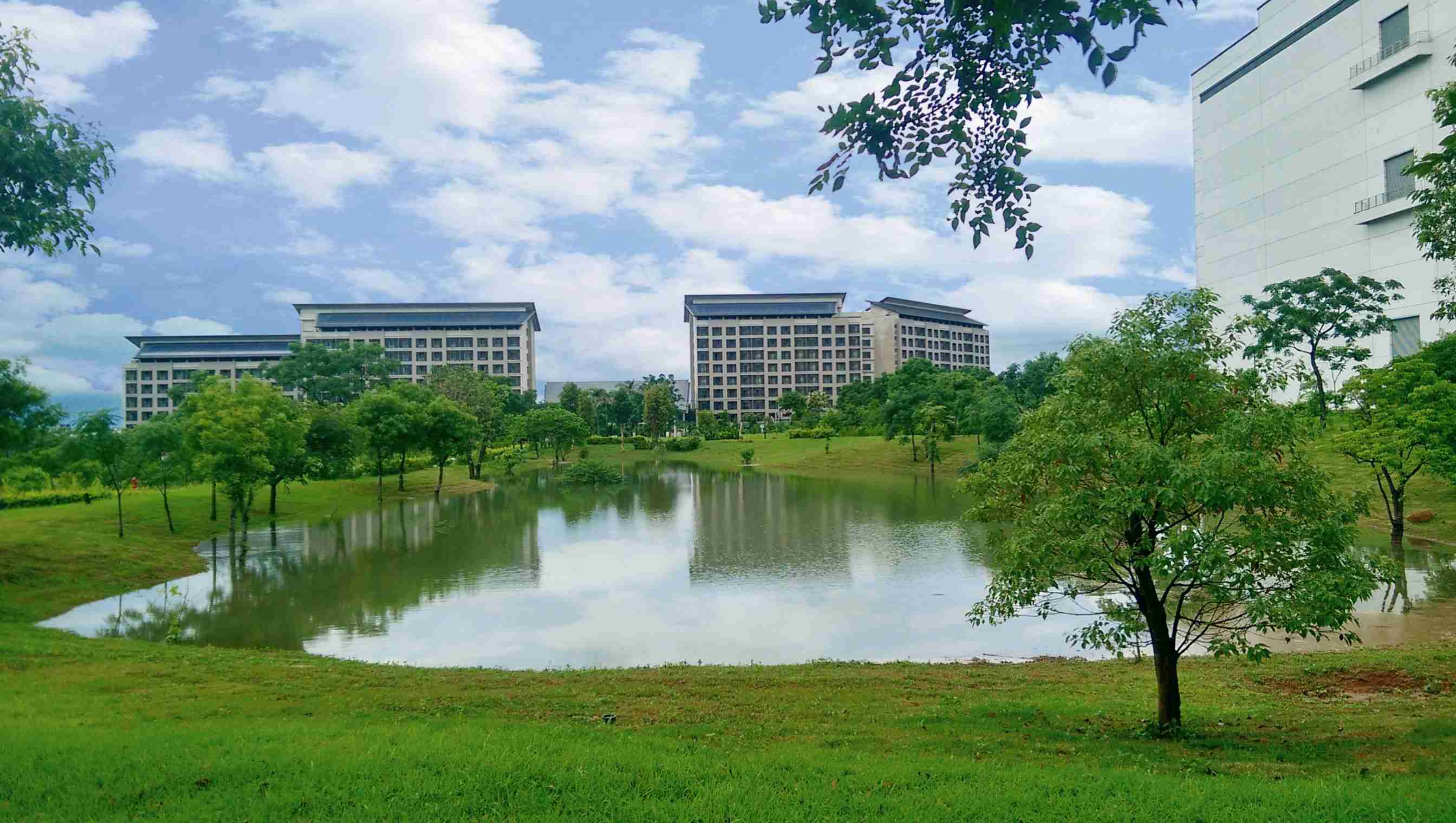 彩运网响应国际倡议生物多样性趋势，，首次发布TNFD自然相关财务揭露报告书，，擘划及开展彩运网生物多样性政策之承诺，，逐步迈向与自然和谐共生